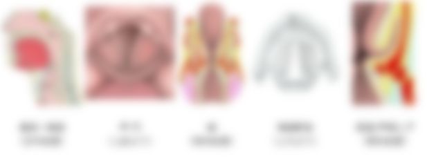 会員限定の図