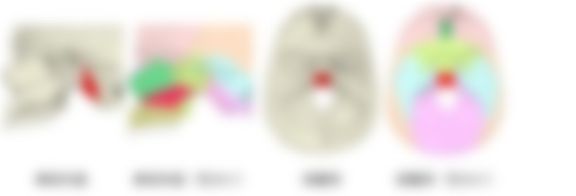 会員限定の図