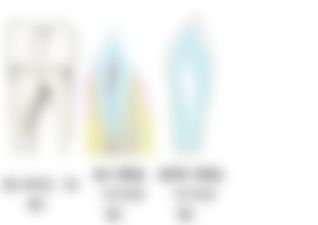 会員限定の図