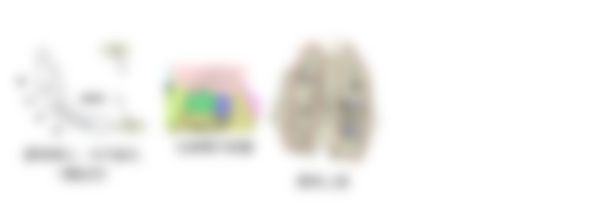 会員限定の図