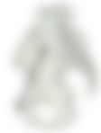 会員限定の図