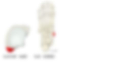 会員限定の図