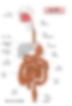会員限定の図