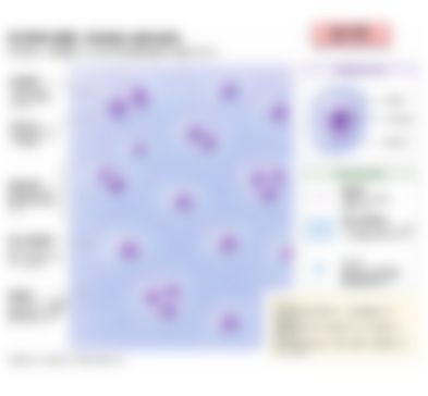会員限定の図