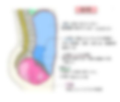 会員限定の図