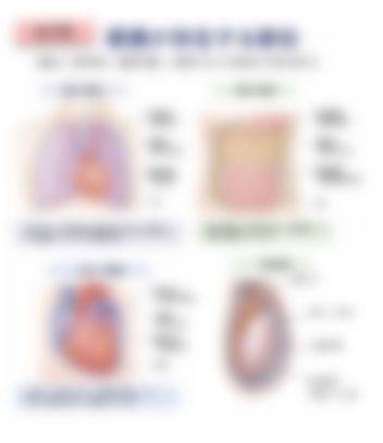 会員限定の図