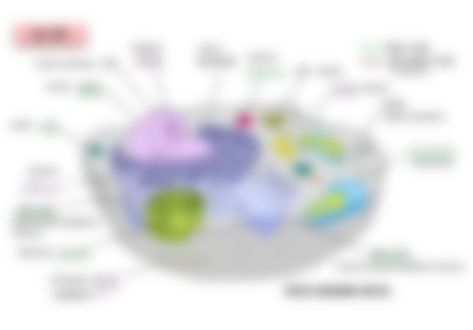 会員限定の図