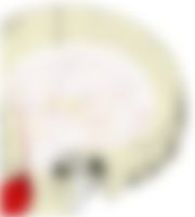 会員限定の図