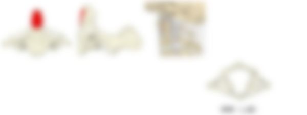 会員限定の図