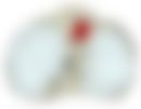 会員限定の図