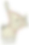 会員限定の図