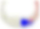 会員限定の図