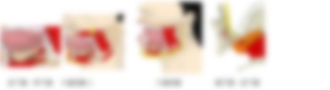 会員限定の図