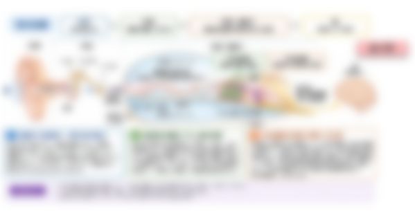 会員限定の図