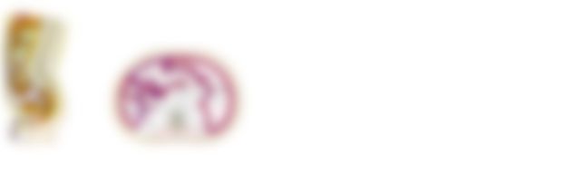 会員限定の図