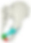会員限定の図