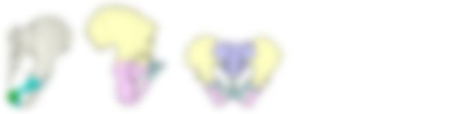 会員限定の図
