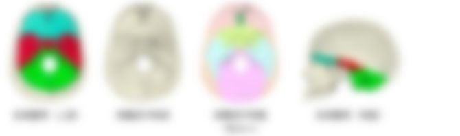 会員限定の図