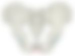 会員限定の図