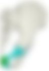 会員限定の図