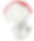会員限定の図