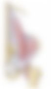 会員限定の図