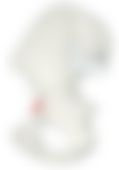会員限定の図