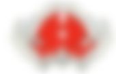 会員限定の図
