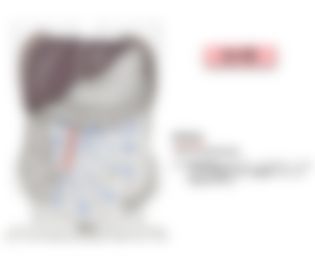会員限定の図