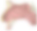 会員限定の図
