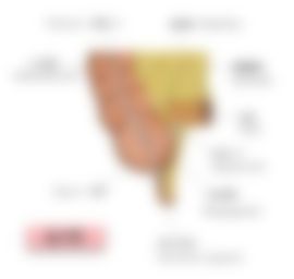 会員限定の図