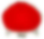 会員限定の図