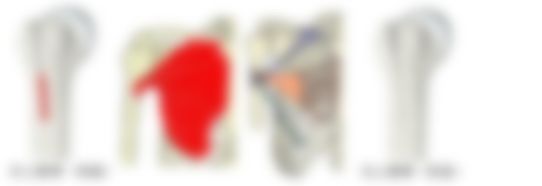 会員限定の図