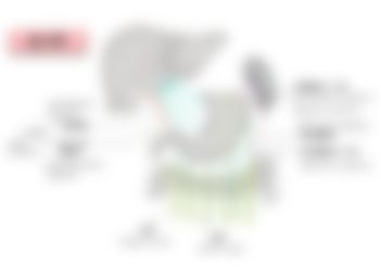 会員限定の図