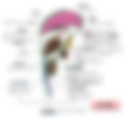 会員限定の図