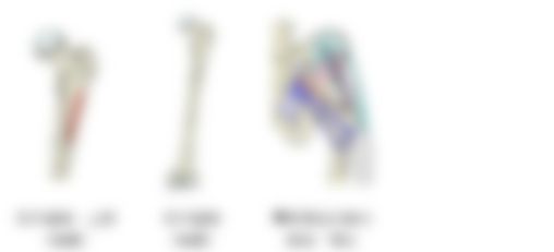 会員限定の図
