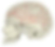 会員限定の図