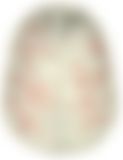 会員限定の図
