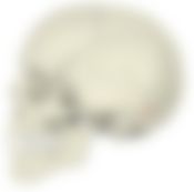 会員限定の図