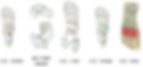 会員限定の図