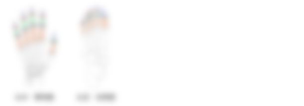 会員限定の図