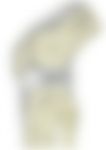 会員限定の図
