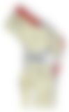 会員限定の図