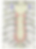 会員限定の図