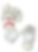 会員限定の図