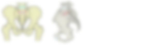会員限定の図