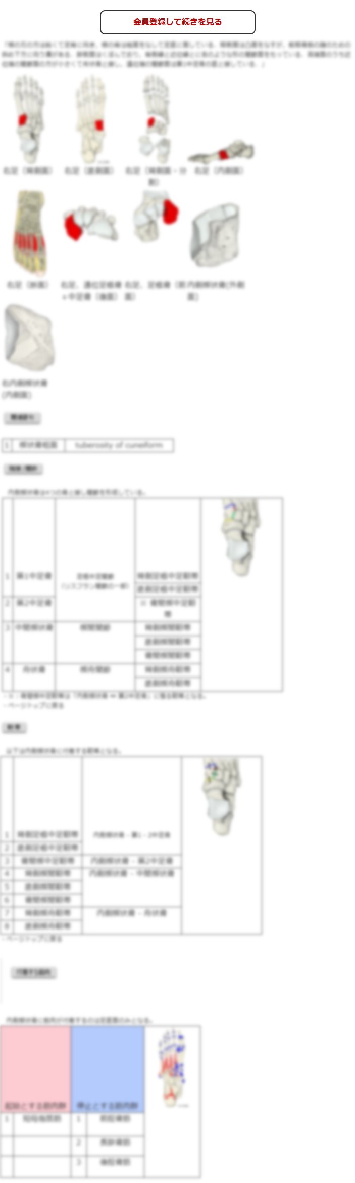 この続きの閲覧には会員登録が必要です