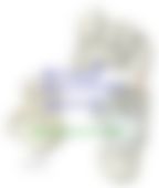 会員限定の図