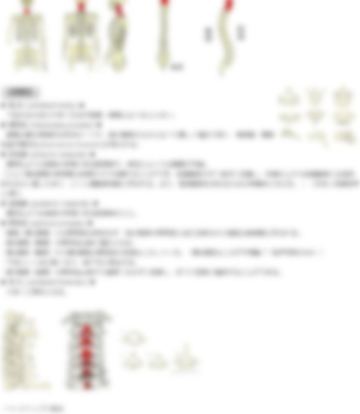 会員限定の図