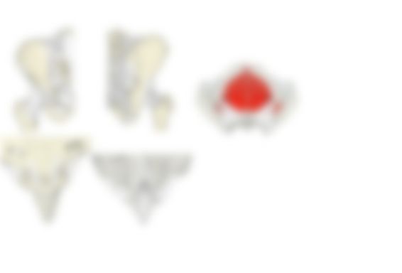 会員限定の図